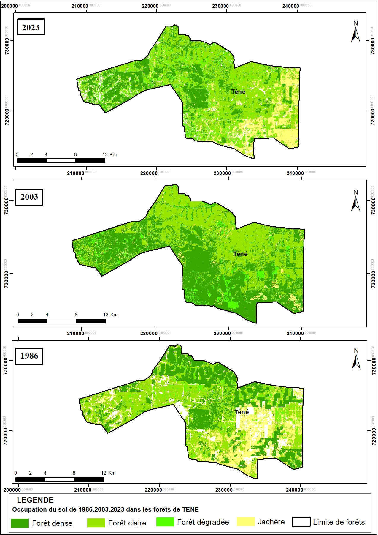 Forêt de TENE